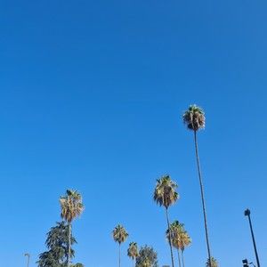 Meet your Posher, Ninadini